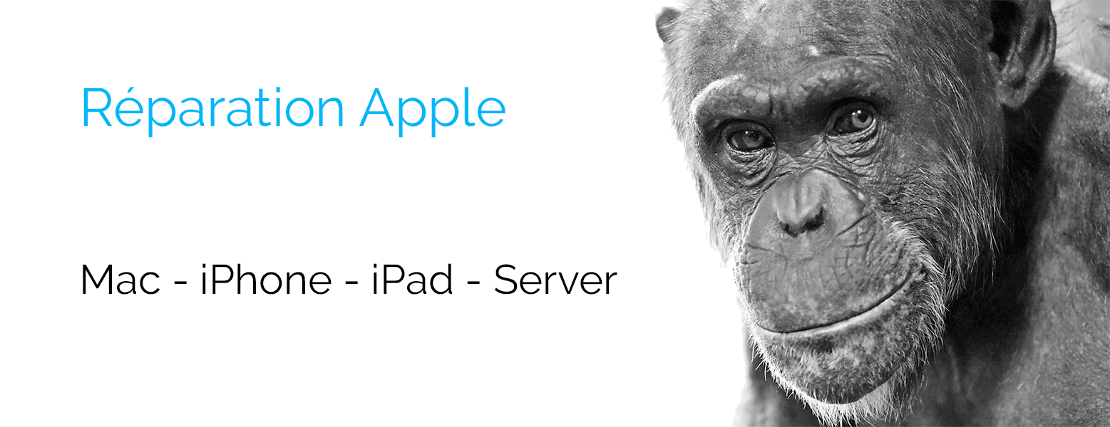 sav Apple Mac iPhone iPad Thonon